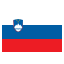 Slovenia flag